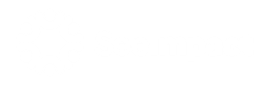 SeeImpact